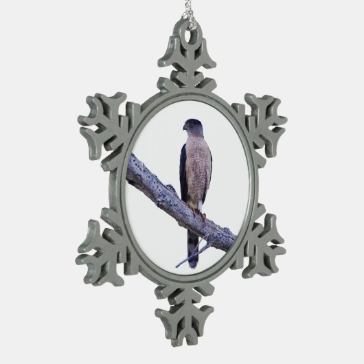 Cooper's Hawk Tin Sneeuwvlok Ornament (Links)