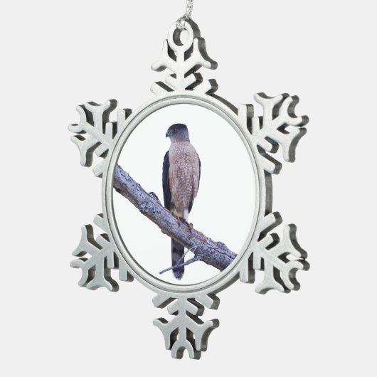 Cooper's Hawk Tin Sneeuwvlok Ornament (Rechts)