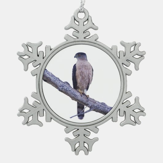 Cooper's Hawk Tin Sneeuwvlok Ornament (Voorkant)