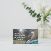 Coopers Hawk Visitekaartje (Staand voorkant)