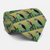 Cooper's Hawks Stropdas (Opgerold)