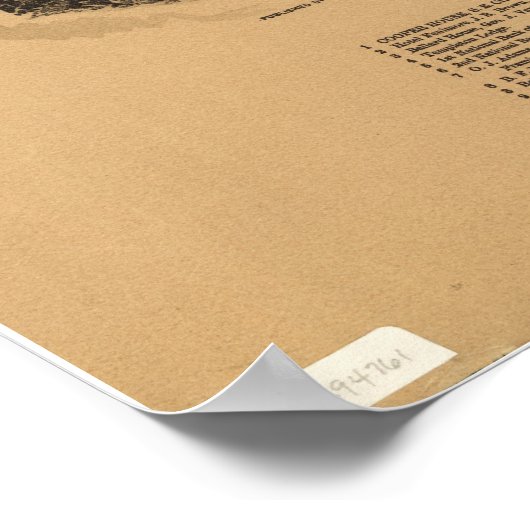 Cooperstown New York 1890 Antiek Panorama Poster (Hoek)