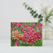 Coördinatieartikelen Oleander Blossom & Berries Briefkaart (Staand voorkant)