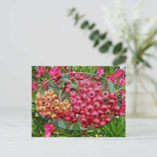 Coördinatieartikelen Oleander Blossom & Berries Briefkaart (Staand voorkant)