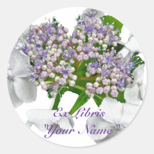 Coördinatiepunten blauwe kant hydrangea ronde sticker