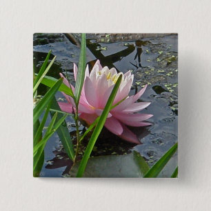 Coördinatiepunten roze waterLily Vierkante Button 5,1 Cm