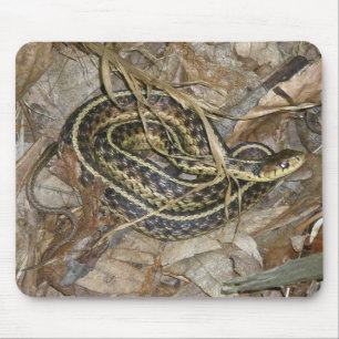 Coördinatiepunten voor jonge oosterse Garter-slang Muismat