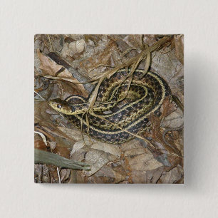 Coördinatiepunten voor jonge oosterse Garter-slang Vierkante Button 5,1 Cm