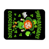Coördinator voor Shenanigans Funny Teacher St Patr Magneet (Horizontaal)