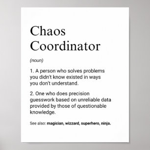 Coördinatoren en supervisors grappige werkomschrij poster