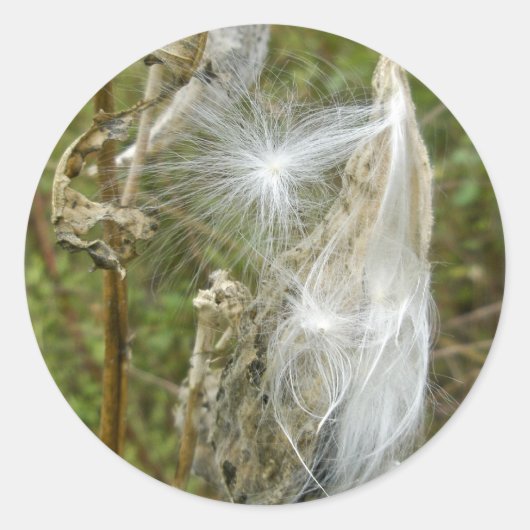 Coördinerende artikelen van Milkweed Seeds Ronde Sticker (Voorkant)
