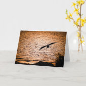 Coorong Pelikaan bij schemering Kaart (Gele Bloem)