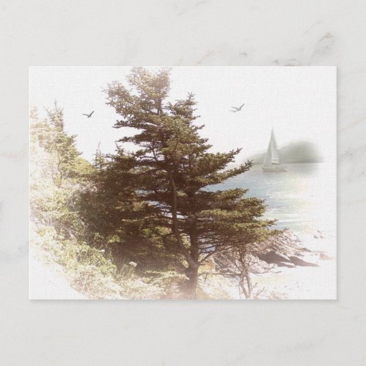 Coos Bay Oregon Briefkaart (Voorkant)