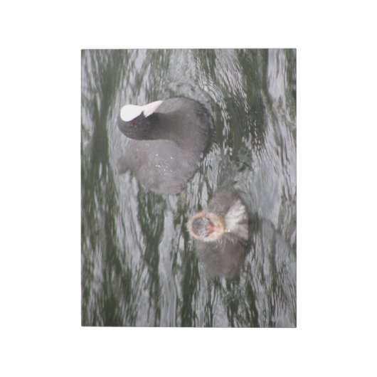 Coot and Chick-laptop Notitieblok (Linkerzijde)