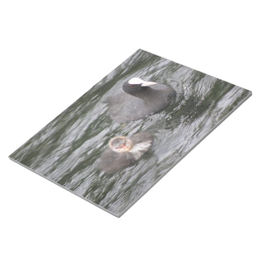 Coot and Chick-laptop Notitieblok (Schuin)