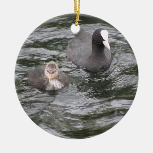 Coot and Chick Ornament (Voorkant)