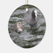 Coot and Chick Ornament (Links)