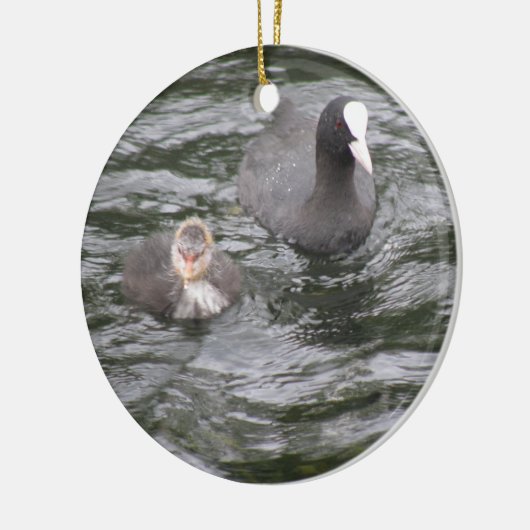 Coot and Chick Ornament (Links)