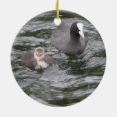 Coot and Chick Ornament (Achterkant)