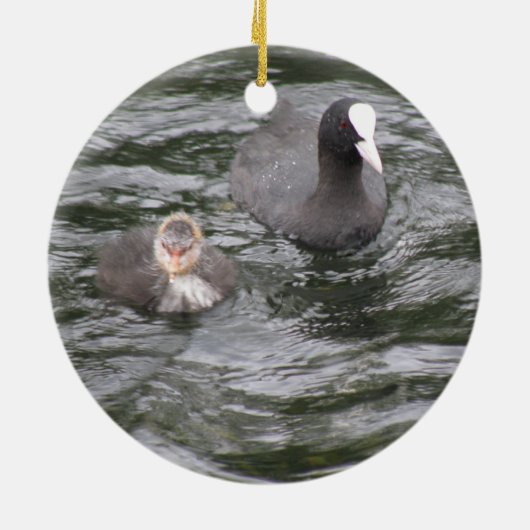 Coot and Chick Ornament (Achterkant)