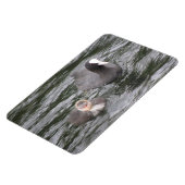 Coot and Chick Premium Magnet Magneet (Linkerzijde)