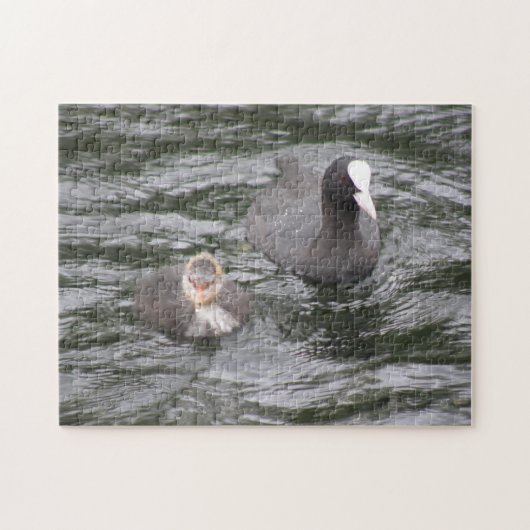 Coot and Chick Puzzle Legpuzzel (Horizontaal)