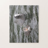 Coot and Chick Puzzle Legpuzzel (Verticaal)