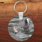 Coot and Chick Sleutelhanger (Voorkant)