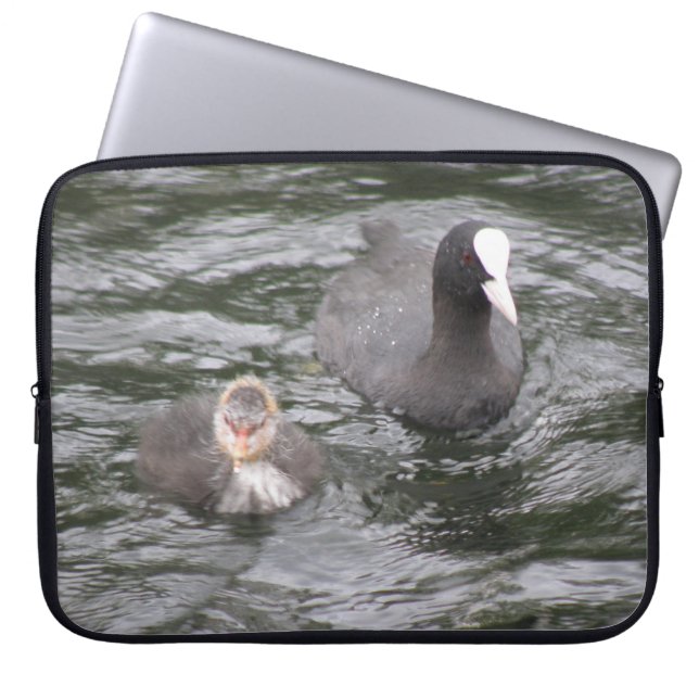 Coot & Chick-laptophoes Laptop Sleeve (Voorkant)