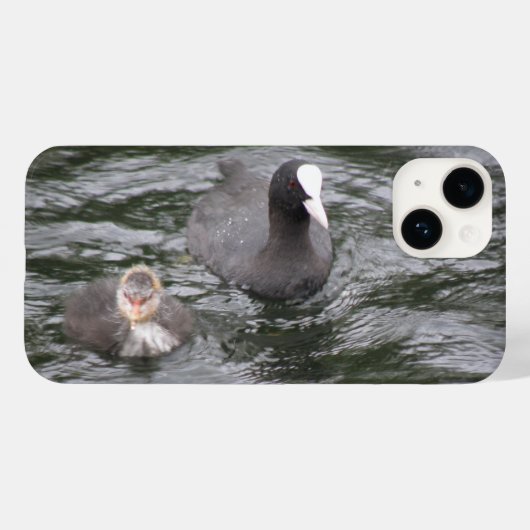 Coot en Chick Case-Mate iPhone Case (Achterkant (horizontaal))