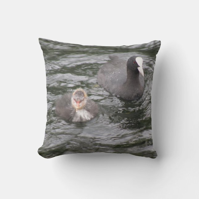 Coot en Chick Kussen (Voorkant)