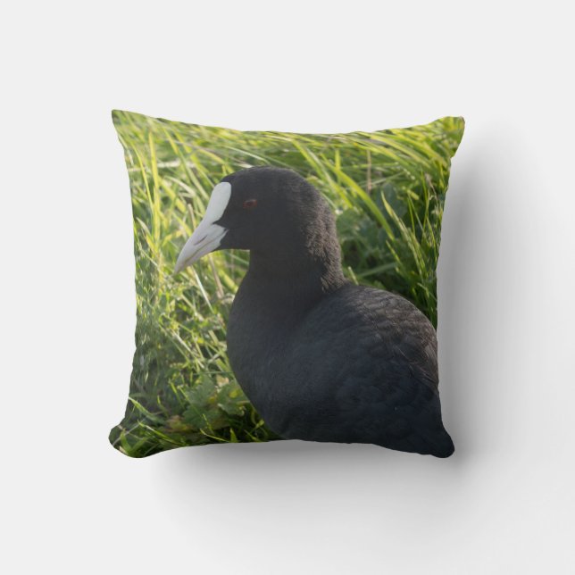 Coot Kussen (Voorkant)
