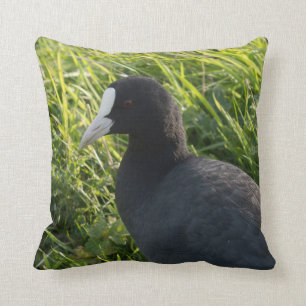 Coot Kussen