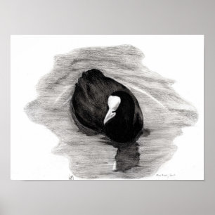Coot of London 2013 Poster