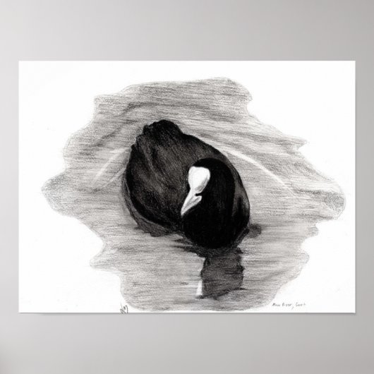 Coot of London 2013 Poster (Voorkant)