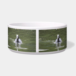 Coot Swimming Dog Bowl Voerbakje