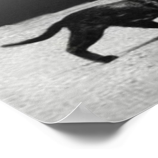 Cop Stops Traffic for Mama Cat Poster (Hoek)