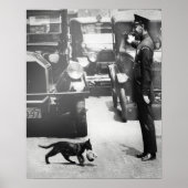 Cop Stops Traffic for Mama Cat Poster (Voorkant)