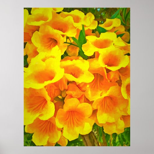 Copa de Oro Art Print (Voorkant)