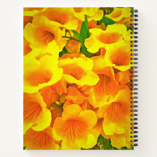 Copa de Oro Notitieboek (Achterkant)