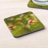 Copan, Honduras Bier Onderzetter (Linkerzijde)