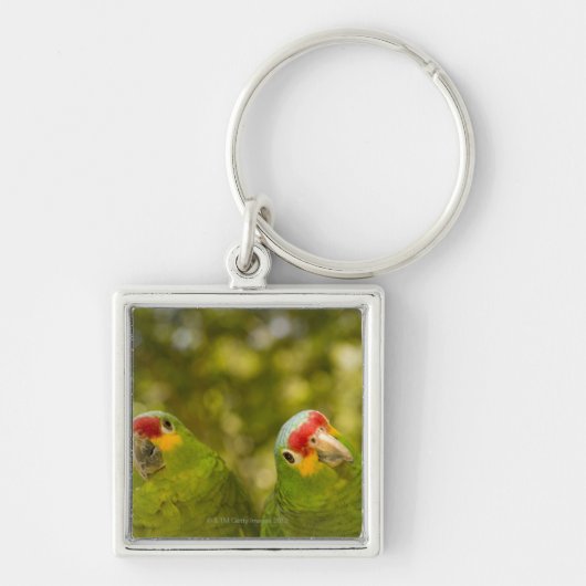 Copan, Honduras Sleutelhanger (Voorkant)