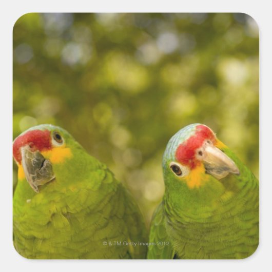 Copan, Honduras Vierkante Sticker (Voorkant)