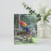 Copán Ruinas, Honduras Briefkaart (Staand voorkant)