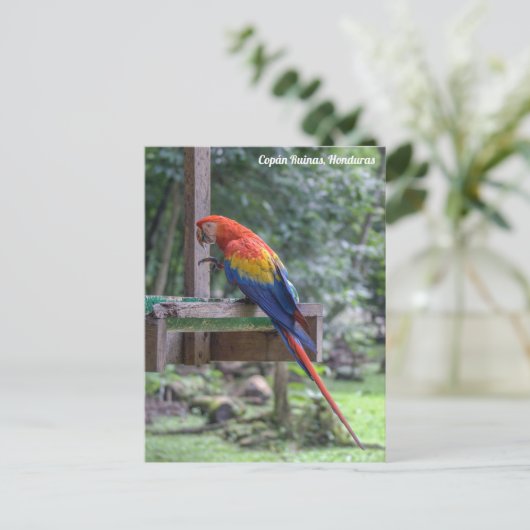 Copán Ruinas, Honduras Briefkaart (Staand voorkant)