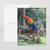 Copán Ruinas, Honduras Briefkaart (Voorkant / Achterkant)