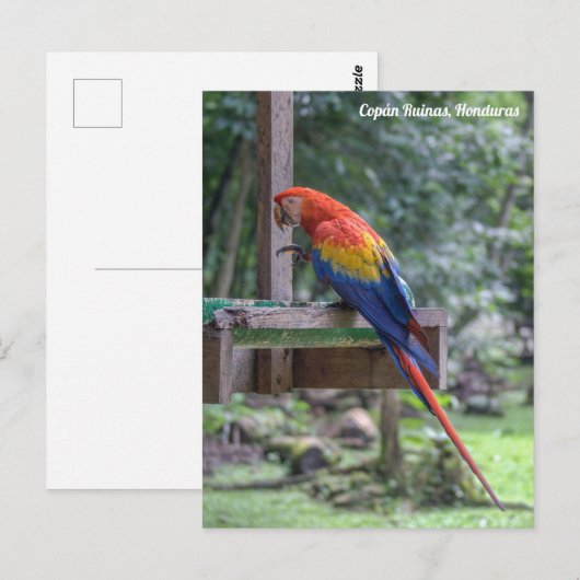 Copán Ruinas, Honduras Briefkaart (Voorkant / Achterkant)