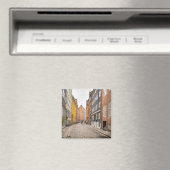 Copenhagen Denemarken Souvenir Magneet (Insitu (Vaatwasser))