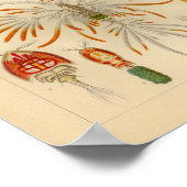 Copepoda Color Ernst Haeckel Art Print (Hoek)