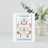 Copepoda van Ernst Haeckel Briefkaart (Staand voorkant)